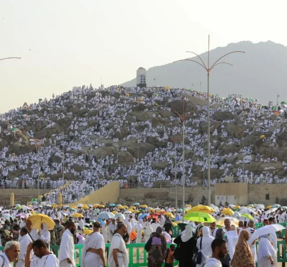 29d5d749-2886-4a34-ba5f-185fcc8b3956