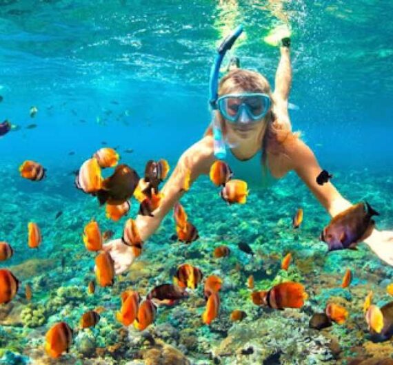 900x600-1-50-447b162b50178d36905a0b71f77f5ff1